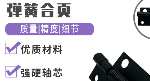广有弹簧合页，你身边信赖的合页|豪门国际&东莞合页