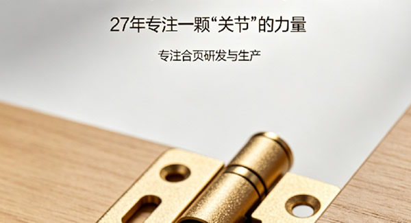 万物皆可爱，合页配四海｜豪门国际，27年专注合页的力量（上篇）?